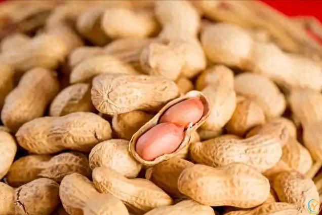 高血压一粒花生都不能吃？医生：不想血压失控，3种食物最好少碰