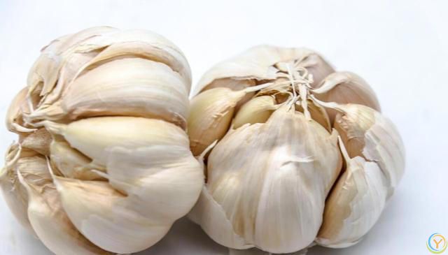 大蒜是肝病的“发物”？医生建议：想要肝好，日常要忌3物，吃2果
